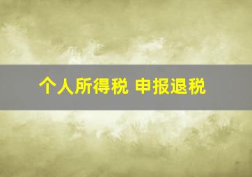 个人所得税 申报退税